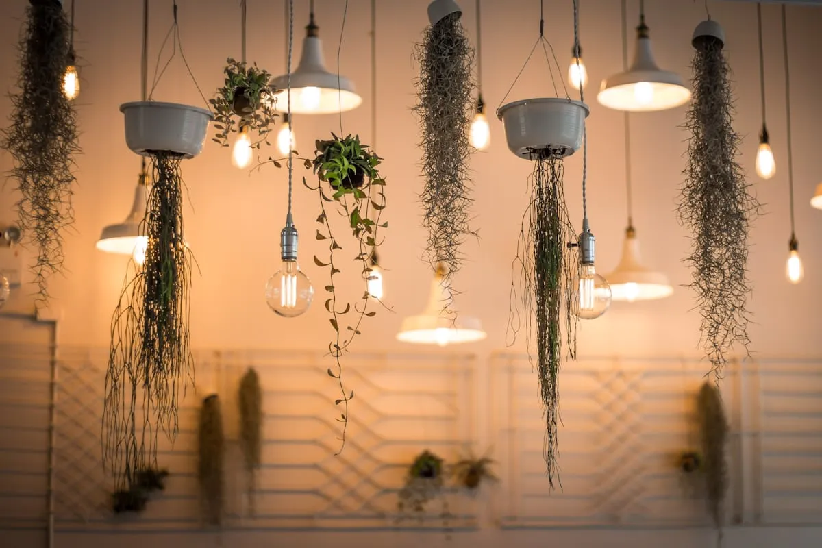 Sculptural light fixture in a refined residential space