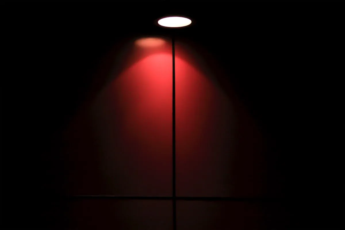 Contemporary fixture arrangement in a clean interior
